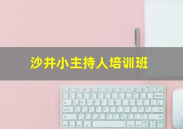 沙井小主持人培训班