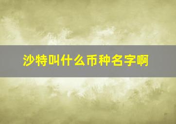 沙特叫什么币种名字啊