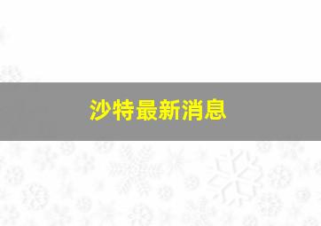 沙特最新消息