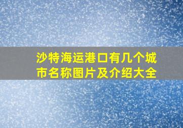 沙特海运港口有几个城市名称图片及介绍大全