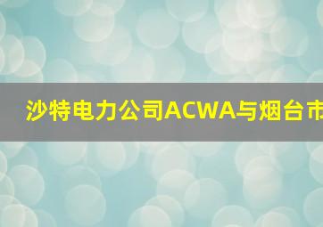 沙特电力公司ACWA与烟台市