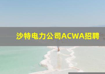 沙特电力公司ACWA招聘