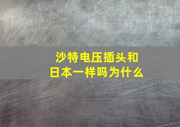 沙特电压插头和日本一样吗为什么