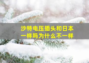 沙特电压插头和日本一样吗为什么不一样