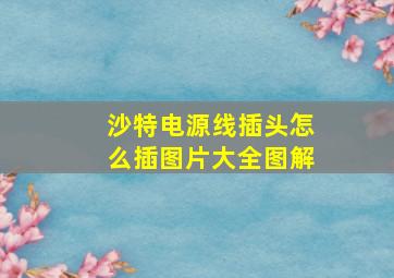 沙特电源线插头怎么插图片大全图解