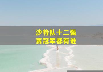 沙特队十二强赛冠军都有谁