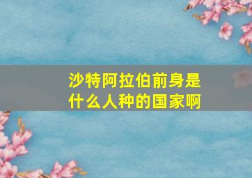 沙特阿拉伯前身是什么人种的国家啊