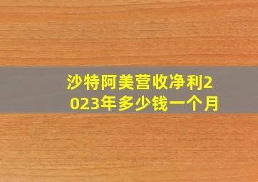 沙特阿美营收净利2023年多少钱一个月