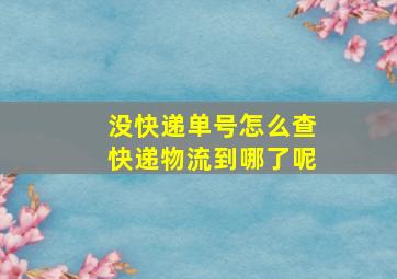 没快递单号怎么查快递物流到哪了呢