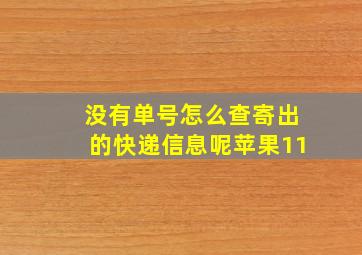 没有单号怎么查寄出的快递信息呢苹果11