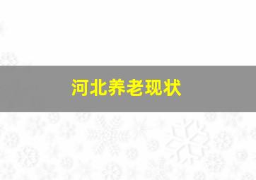 河北养老现状