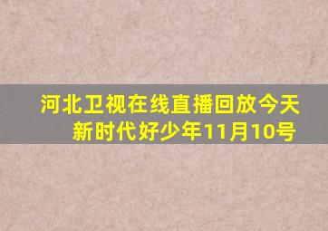 河北卫视在线直播回放今天新时代好少年11月10号