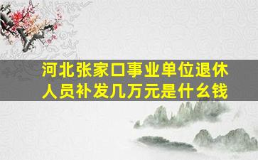 河北张家口事业单位退休人员补发几万元是什幺钱