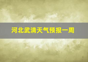 河北武清天气预报一周