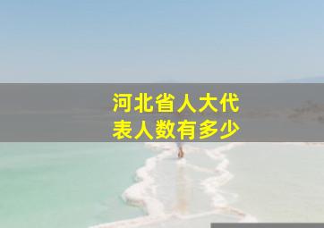 河北省人大代表人数有多少