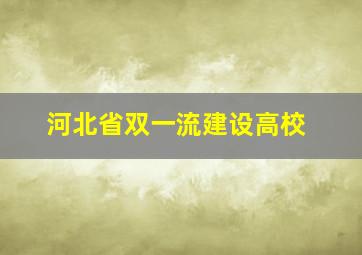 河北省双一流建设高校