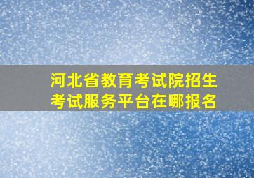 河北省教育考试院招生考试服务平台在哪报名