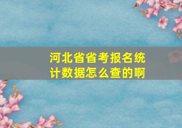 河北省省考报名统计数据怎么查的啊