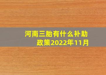 河南三胎有什么补助政策2022年11月