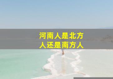 河南人是北方人还是南方人