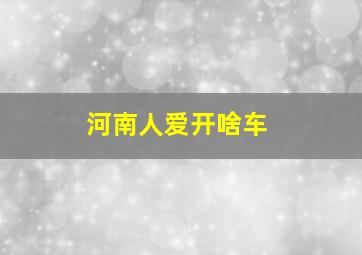 河南人爱开啥车