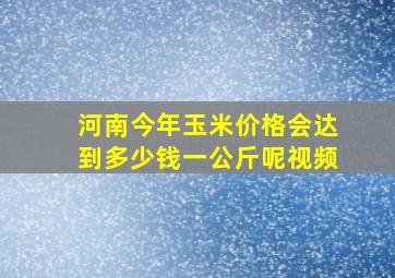 河南今年玉米价格会达到多少钱一公斤呢视频