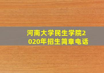 河南大学民生学院2020年招生简章电话