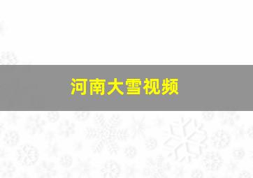 河南大雪视频