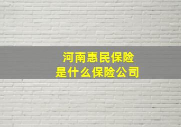 河南惠民保险是什么保险公司