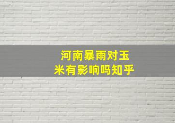 河南暴雨对玉米有影响吗知乎