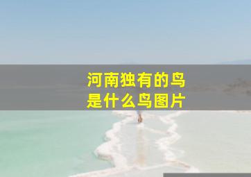 河南独有的鸟是什么鸟图片