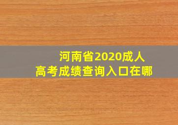 河南省2020成人高考成绩查询入口在哪