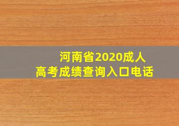 河南省2020成人高考成绩查询入口电话