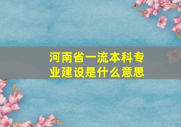 河南省一流本科专业建设是什么意思