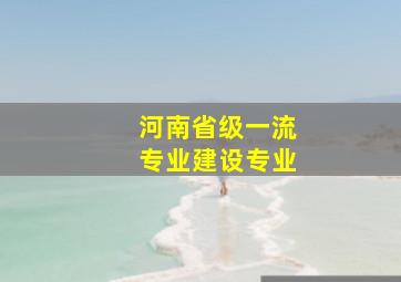 河南省级一流专业建设专业