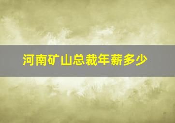 河南矿山总裁年薪多少