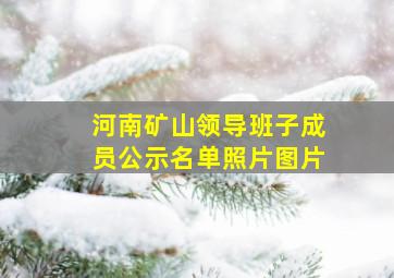 河南矿山领导班子成员公示名单照片图片