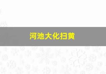 河池大化扫黄