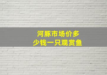 河豚市场价多少钱一只观赏鱼