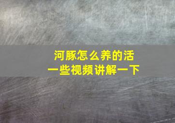 河豚怎么养的活一些视频讲解一下