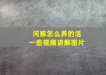 河豚怎么养的活一些视频讲解图片