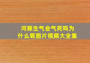 河豚生气会气死吗为什么呢图片视频大全集