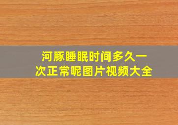 河豚睡眠时间多久一次正常呢图片视频大全