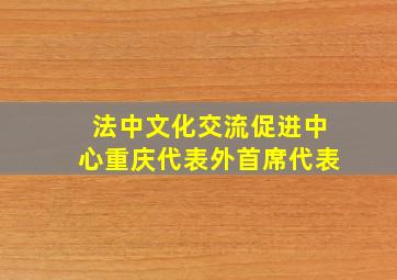 法中文化交流促进中心重庆代表外首席代表