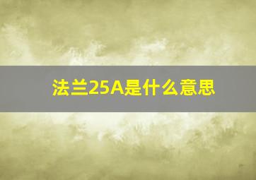 法兰25A是什么意思