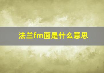 法兰fm面是什么意思