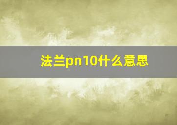 法兰pn10什么意思