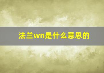 法兰wn是什么意思的