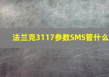 法兰克3117参数SMS管什么