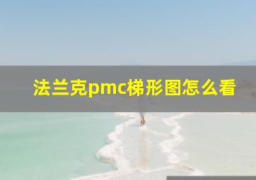 法兰克pmc梯形图怎么看